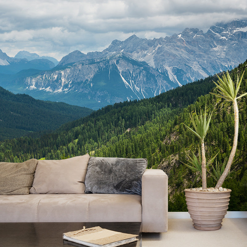 Nature Scenery Mountain Mural Decal Modern Smooth Wall Covering for House Interior