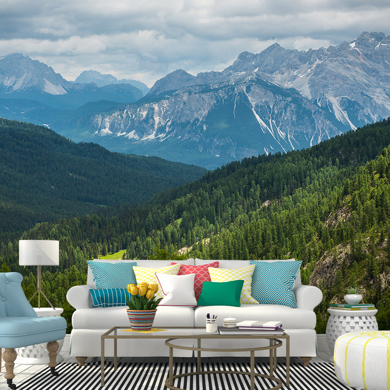 Nature Scenery Mountain Mural Decal Modern Smooth Wall Covering for House Interior