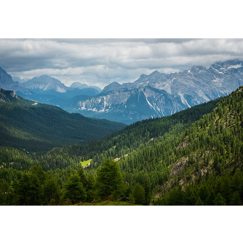 Nature Scenery Mountain Mural Decal Modern Smooth Wall Covering for House Interior