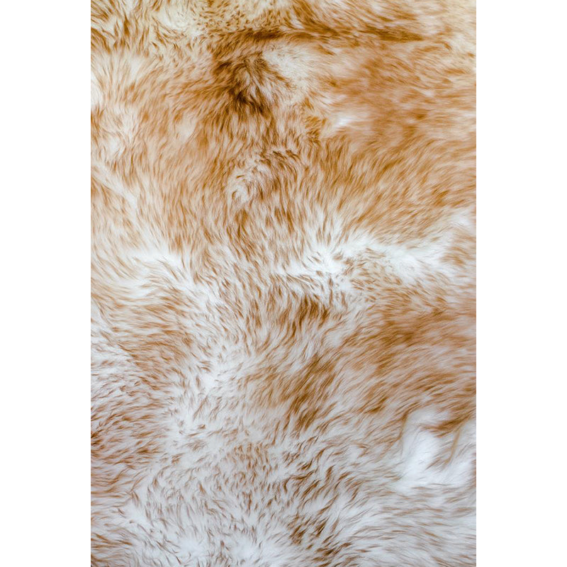 Soft Color Animal Skin Mural Decal Stain Resistant Contemporary Study Room Wall Covering