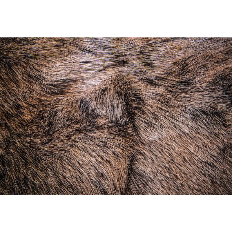 Wild Animal Print Mural Decal Contemporary Decorative Living Room Wall Art, Custom Printed