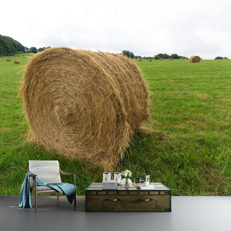 Vast Cornfield Wall Mural Contemporary Decorative Kitchen Wall Art, Custom Size Available