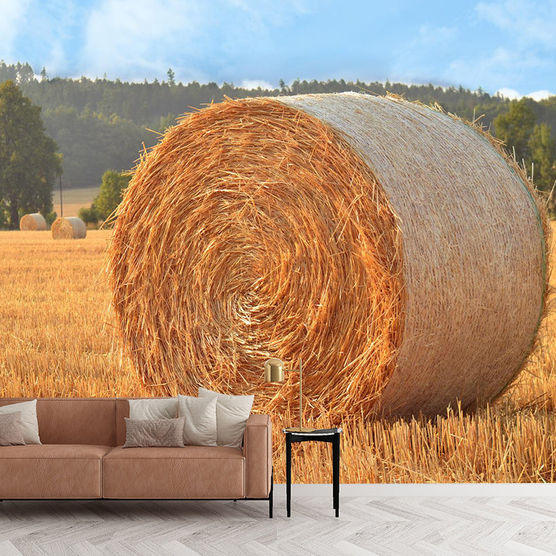 Vast Cornfield Wall Mural Contemporary Decorative Kitchen Wall Art, Custom Size Available