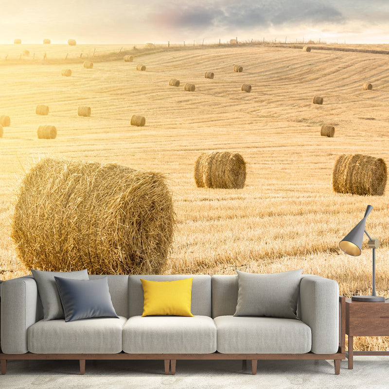 Vast Cornfield Wall Mural Contemporary Decorative Kitchen Wall Art, Custom Size Available