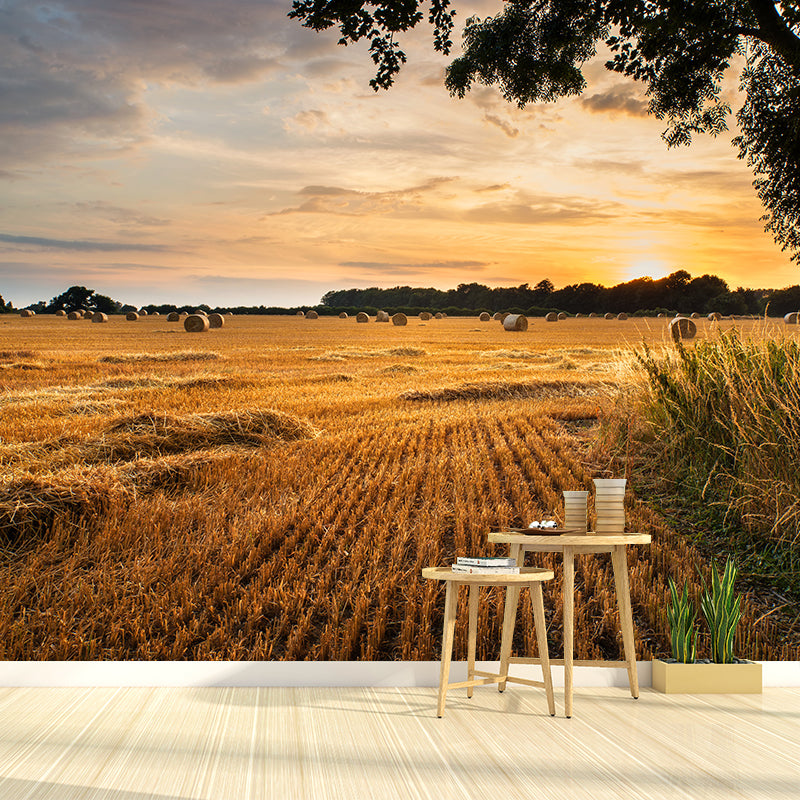 Vast Cornfield Wall Mural Contemporary Decorative Kitchen Wall Art, Custom Size Available