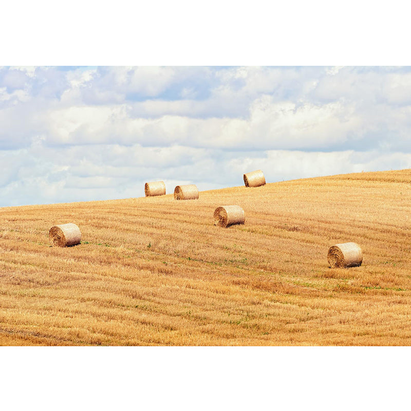 Cornfield Scenery Mural Wallpaper Pastel Color Modern Wall Covering for Drawing Room