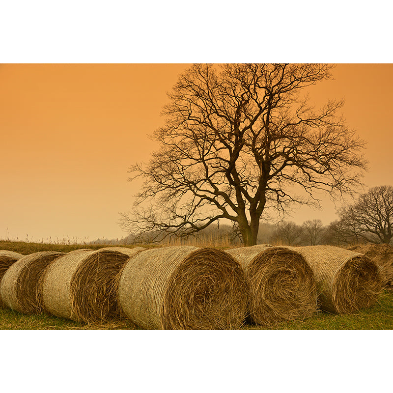 Modern Wheat Field Mural Decal Light Color Stain-Proofing Wall Decor for Sitting Room