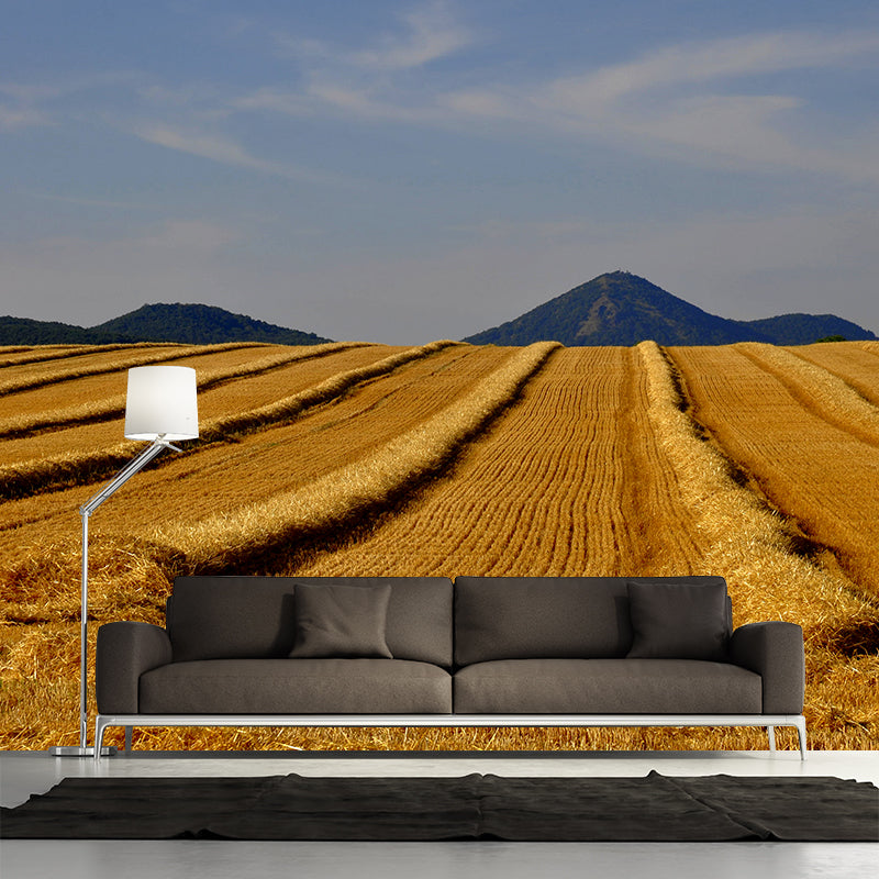 Contemporary Photo Wheat Field Mural Soft Color Stain Resistant Wall Art for Dining Room