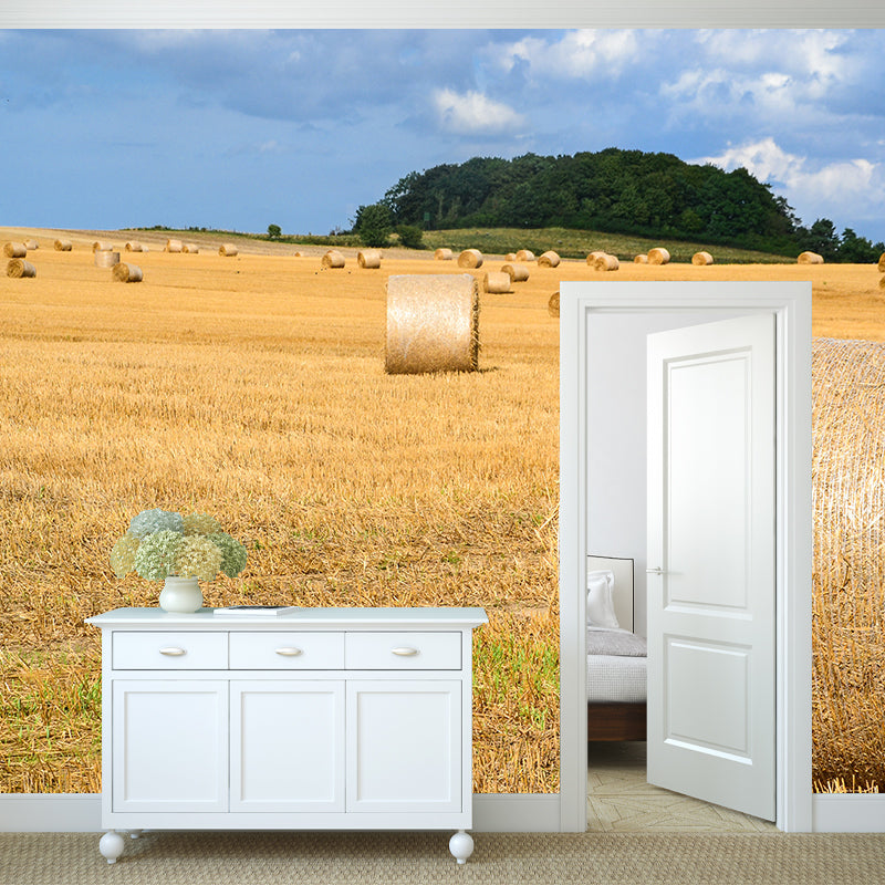 Contemporary Photo Wheat Field Mural Soft Color Stain Resistant Wall Art for Dining Room