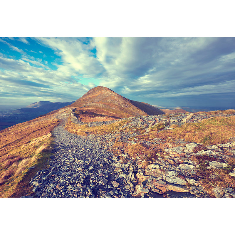 Contemporary Mountains View Wall Mural Soft Color Stain-Proof Wall Art for Guest Room