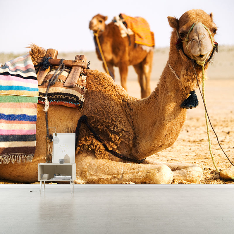 Photographic Camel Mural Full Size Wall Covering for Living Room, Made to Measure