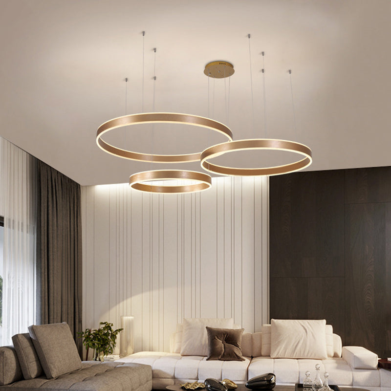 Acrylic Circle Shaped LED Ceiling Light Simplicity Living Room Chandelier Pendant Light