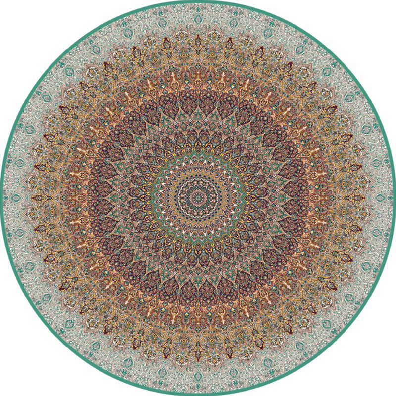 Chic Multi Color Persian Rug Polyester Flower Print Carpet Washable Anti-Slip Pet Friendly Rug for Home