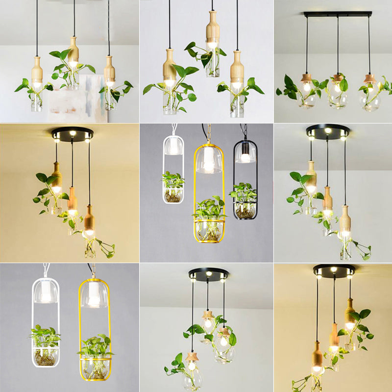 Planter Hanging Lamp Contemporary Clear Glass 1-Light Study Room Lighting Pendant