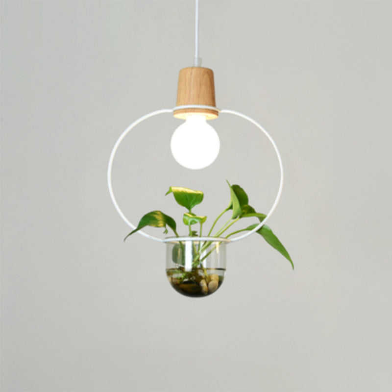 Planter Hanging Lamp Contemporary Clear Glass 1-Light Study Room Lighting Pendant