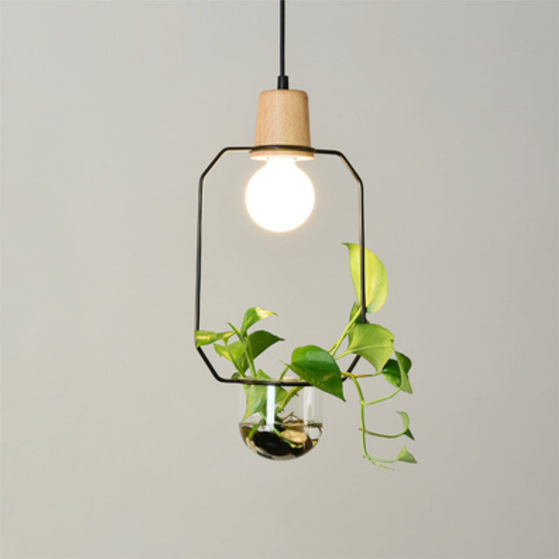 Planter Hanging Lamp Contemporary Clear Glass 1-Light Study Room Lighting Pendant