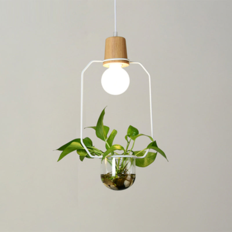 Planter Hanging Lamp Contemporary Clear Glass 1-Light Study Room Lighting Pendant