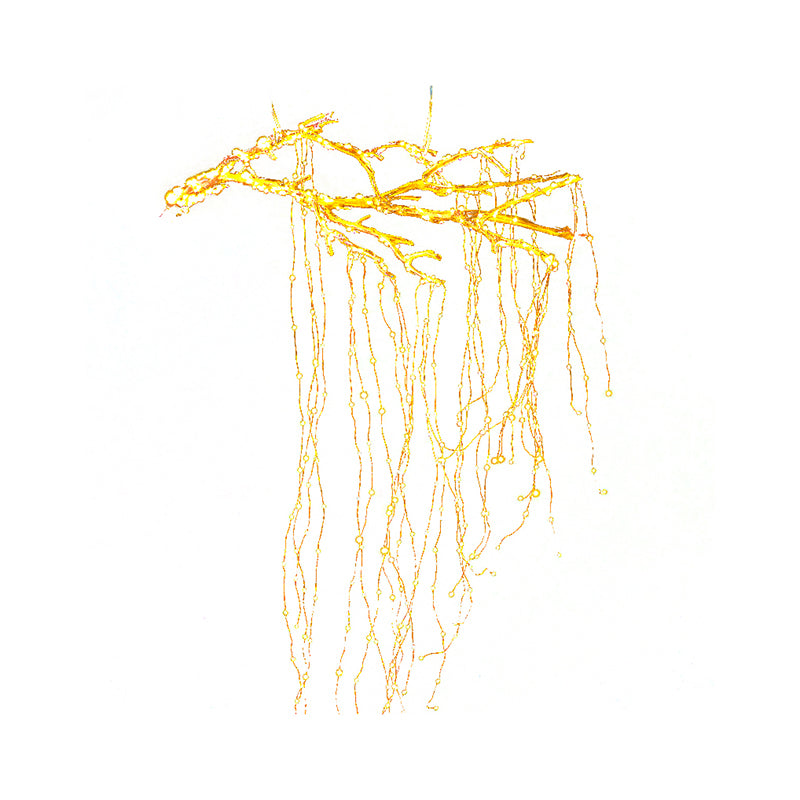65.6ft Art Decor Starry Festive String Light Copper Wire Garden LED Fairy Lighting in Bronze