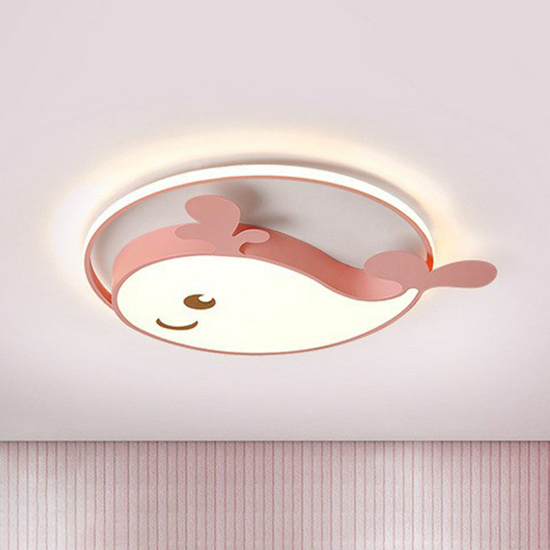 Metallic Dolphin Led Flush Massimale Light Simplicity LED Flush Mount Lighting Fixture per Ragazzi Bedroom
