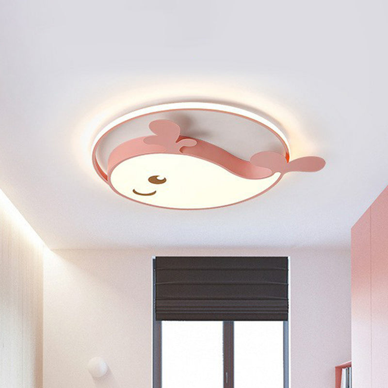 Metallic Dolphin Led Flush Massimale Light Simplicity LED Flush Mount Lighting Fixture per Ragazzi Bedroom
