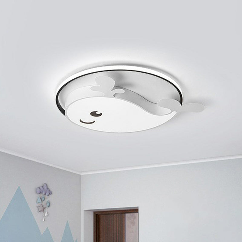 Metallic Dolphin Led Flush Massimale Light Simplicity LED Flush Mount Lighting Fixture per Ragazzi Bedroom