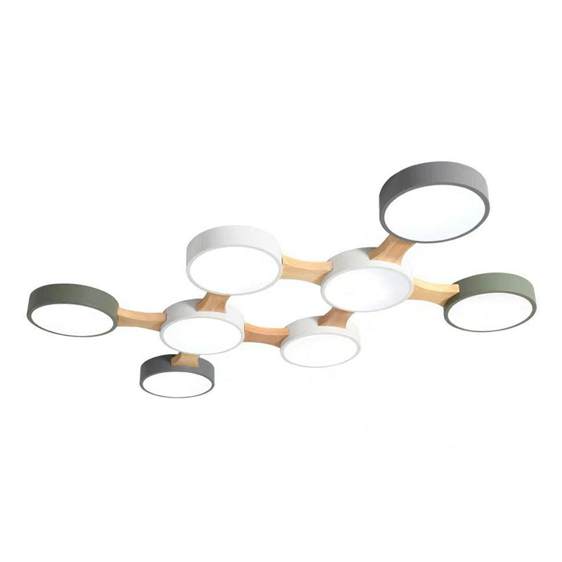 Minimalist Round LED Flush Monte Metallic Living Room Flushmount Massimale Light in grigio - Verde