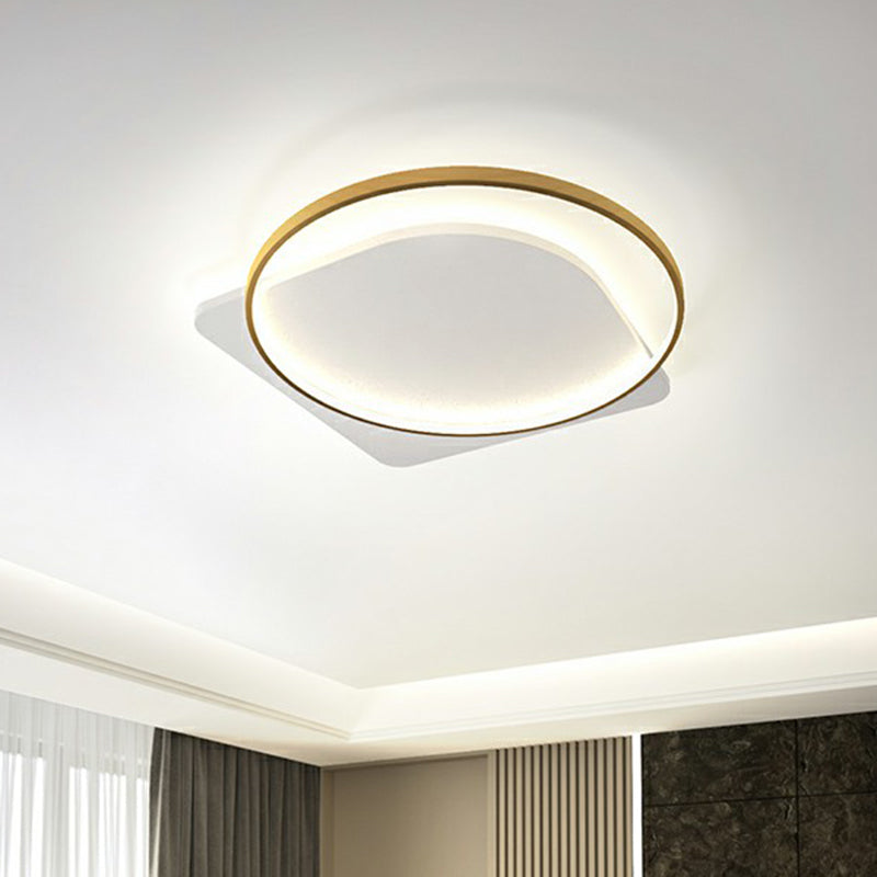Acrylic Loop Shaped Ceiling Mount Lamp Simplicity LED Flush-Mount Light Fixture for Aisle