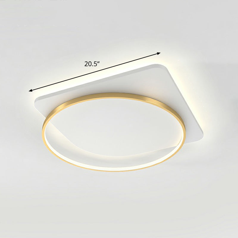 Acrylic Loop Shaped Ceiling Mount Lamp Simplicity LED Flush-Mount Light Fixture for Aisle