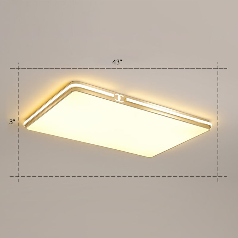 Rectangle Acrylic LED Flush Mount Lamp Contemporary Gold Finish Ceiling Flush Light