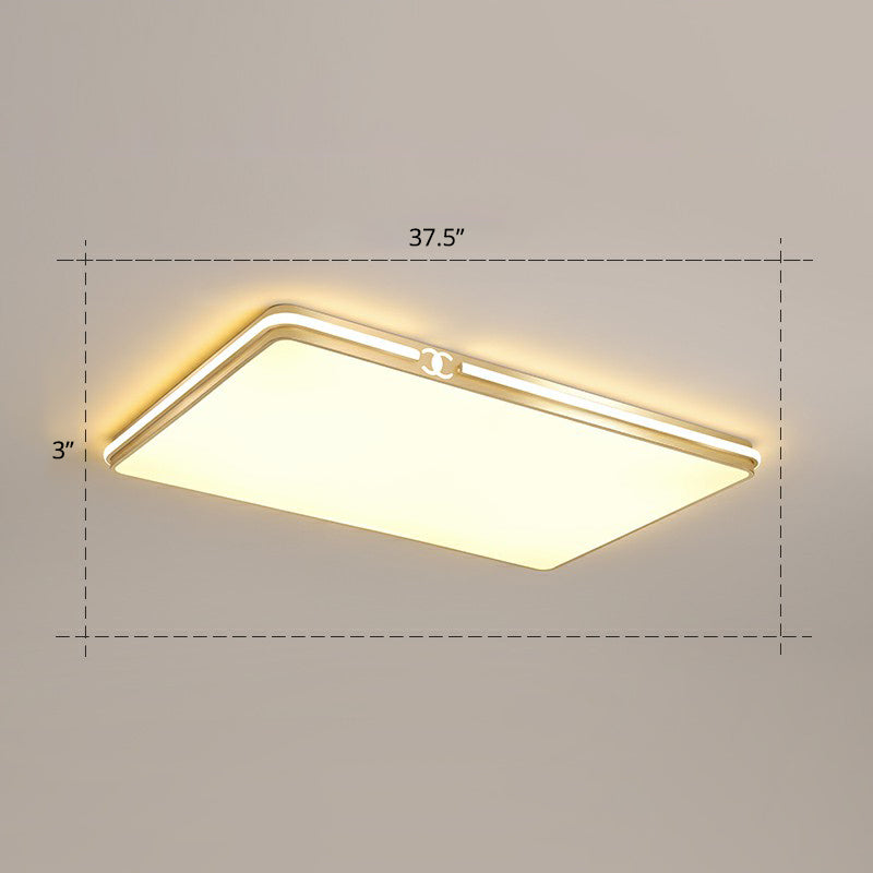 Rectangle Acrylic LED Flush Mount Lamp Contemporary Gold Finish Ceiling Flush Light