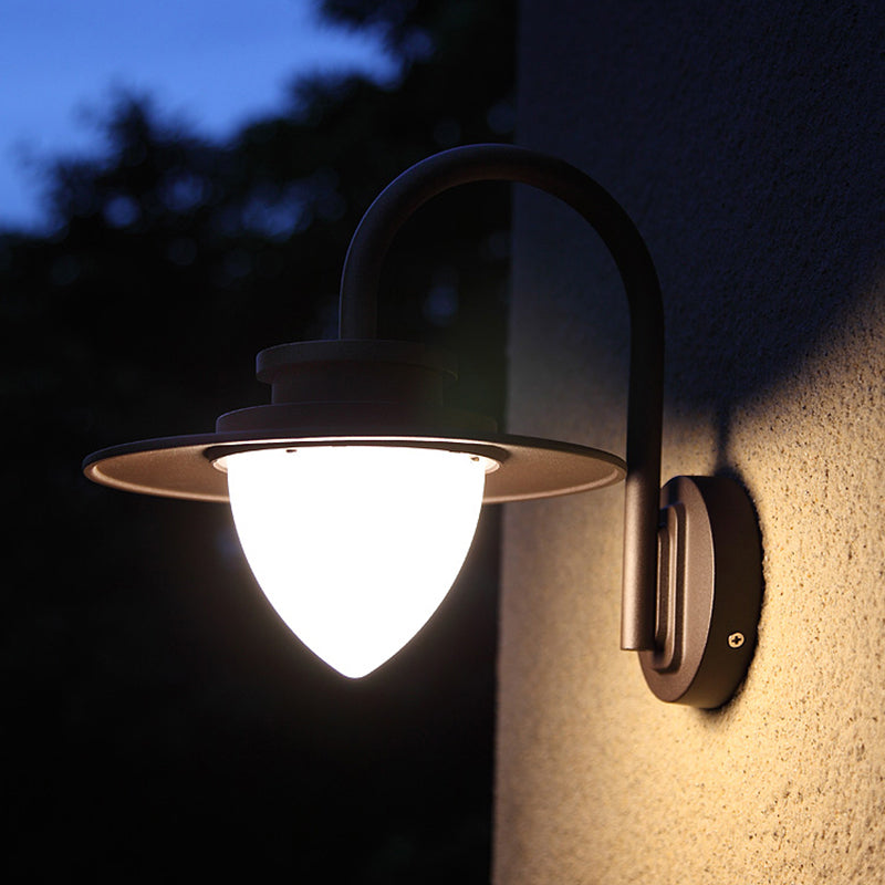 Strawberry Garden Wall Mount Light Metal Minimalist LED Wall Sconce with Gooseneck Arm in Black