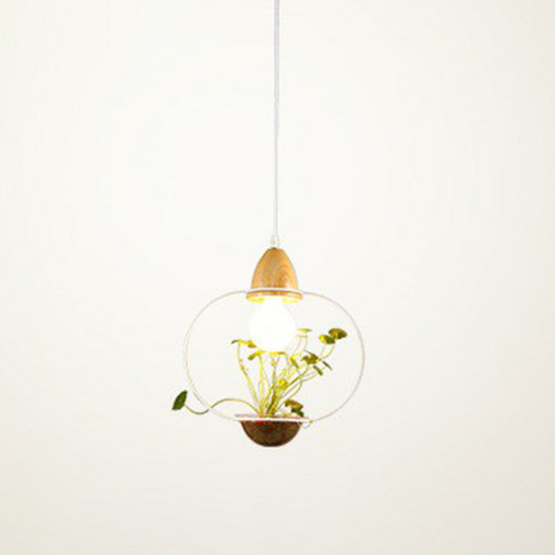 1 Pot à tête Pot de plante suspendue Pendentif Industriel Style Metal Pendule Light pour salle à manger