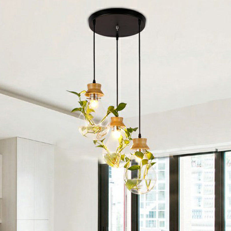 Hydroponic Plant Pendant Lamp Nordic Teardrop Shaped Clear Glass Suspension Light in Black