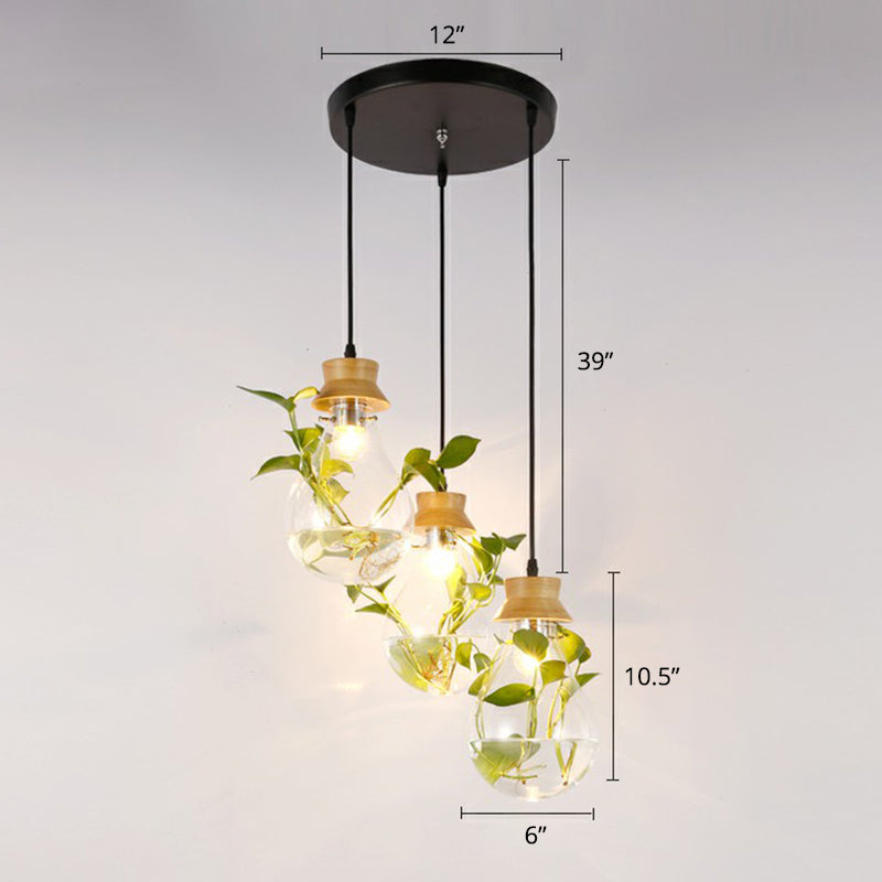 Hydroponic Plant Pendant Lamp Nordic Teardrop Shaped Clear Glass Suspension Light in Black