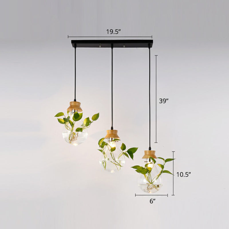 Hydroponic Plant Pendant Lamp Nordic Teardrop Shaped Clear Glass Suspension Light in Black