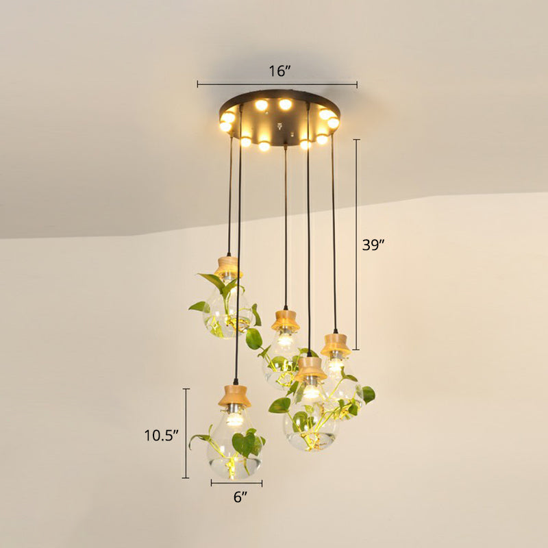 Hydroponic Plant Pendant Lamp Nordic Teardrop Shaped Clear Glass Suspension Light in Black