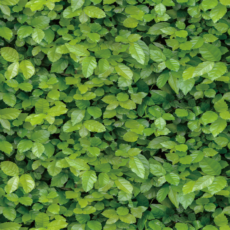 Peel and Stick Brick Wallpaper Roll Industrial Fashion Vinyl Wall Art, 48.4 sq-ft