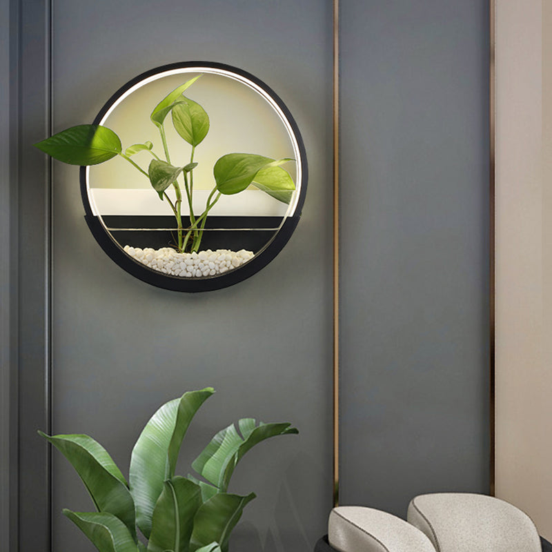 Éclairage de paroi circulaire en acrylique Ponde de mur à LED artistique avec fonction de récipient végétal