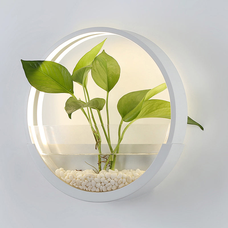 Éclairage de paroi circulaire en acrylique Ponde de mur à LED artistique avec fonction de récipient végétal