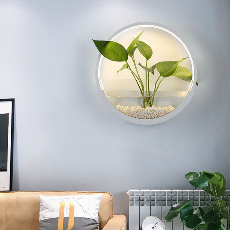 Acrylic Circular Wall Lighting Artistic LED Wall Sconce with Plant Container Function