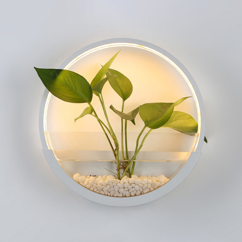 Éclairage de paroi circulaire en acrylique Ponde de mur à LED artistique avec fonction de récipient végétal