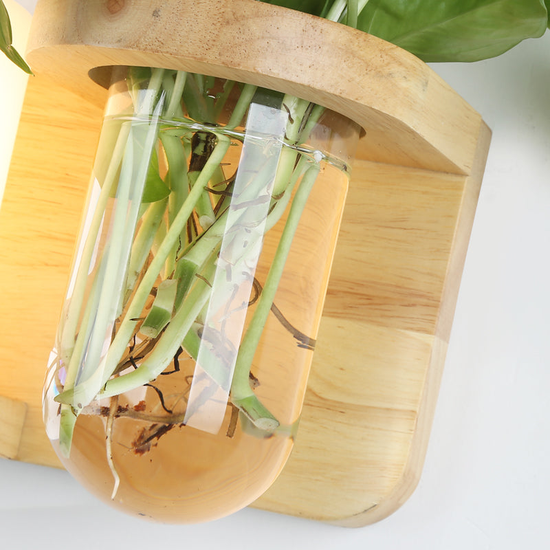 Cream Glass Cube Sconce Lamp Art Deco 1-Bulb Wood Wall Mount Light with Hydroponic Plant Pot