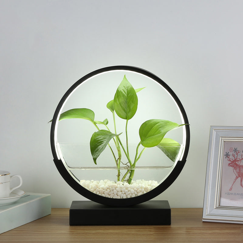 Lampada da tavolo da tavolo del cerchio nordico Acrilico Luce notturna a LED con pianta idroponica design