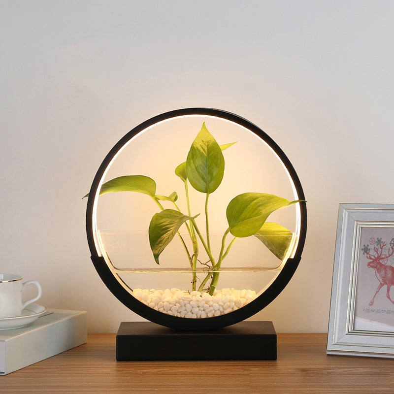Lampada da tavolo da tavolo del cerchio nordico Acrilico Luce notturna a LED con pianta idroponica design