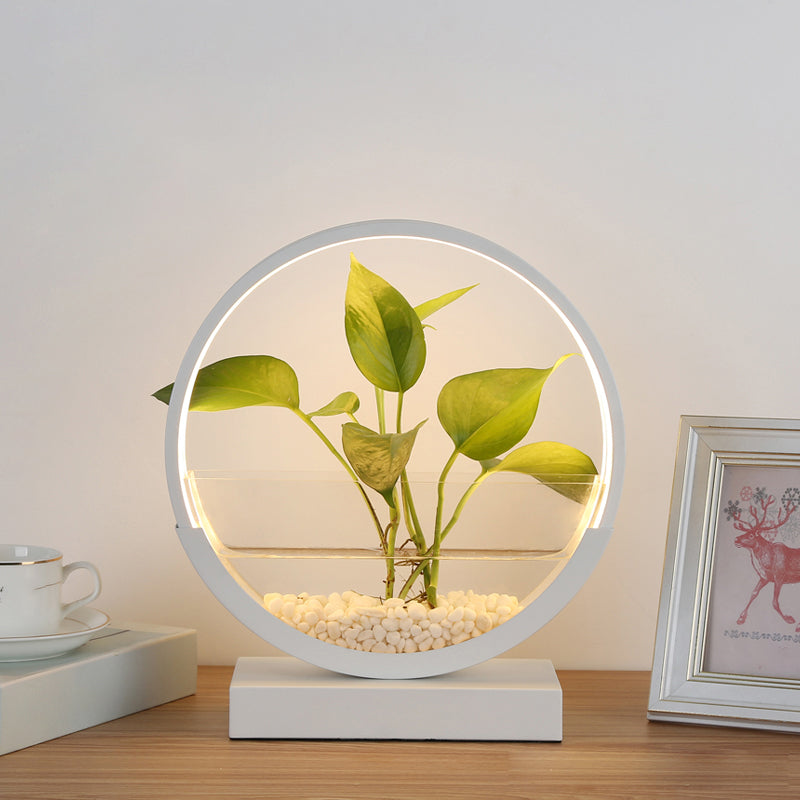 Lampada da tavolo da tavolo del cerchio nordico Acrilico Luce notturna a LED con pianta idroponica design