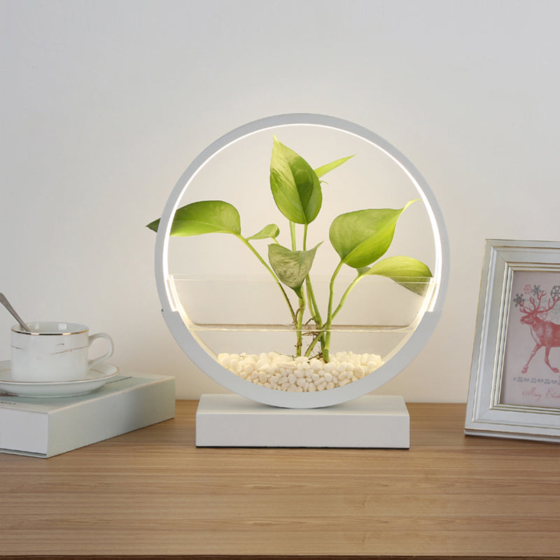 Lampada da tavolo da tavolo del cerchio nordico Acrilico Luce notturna a LED con pianta idroponica design