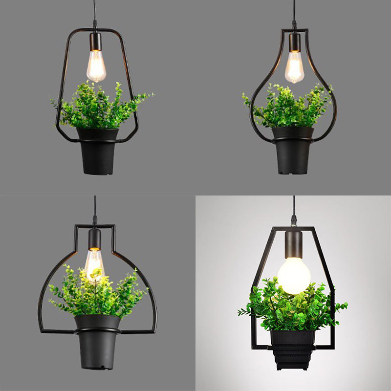 1 Light Planter and Frame Hanging Light Industrial Style Black Finish Metal Pendant Lamp for Balcony
