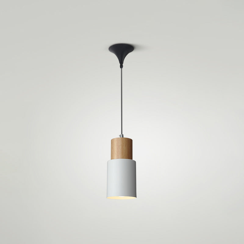 Indoor Nordic Pendant Light Modern Simple Creative Single Pendant Light for Restaurant Coffee Shop