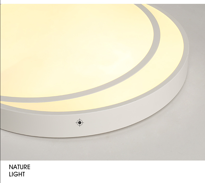Circle Acrylic Flush Mounted Ceiling Light Minimalistic LED White Flushmount Ceiling Lamp