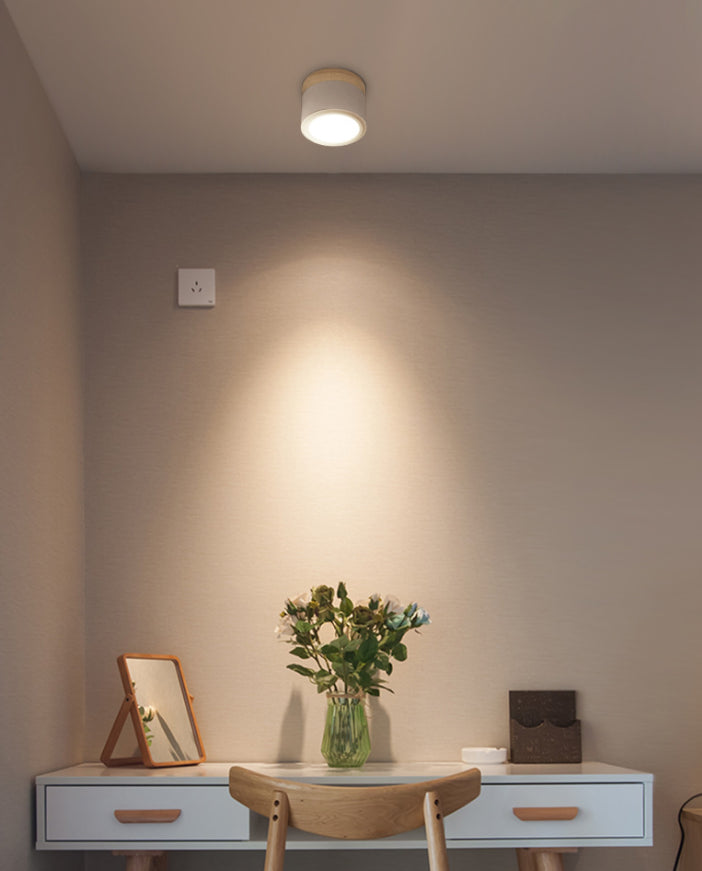 Cylinder Flush Mount Ceiling Fixture Nordic Style LED Metal Flush Ceiling Light Fixture